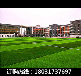 双峰幼儿园人造草坪厂家 为儿童打造安全环保的专属乐园